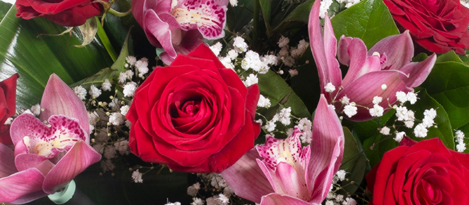 Florists in Newhouse Road, Grangemouth Flowers For All Occasions